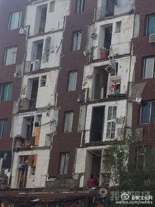 辽源网友爆料视频,揭秘当地神秘事件真相