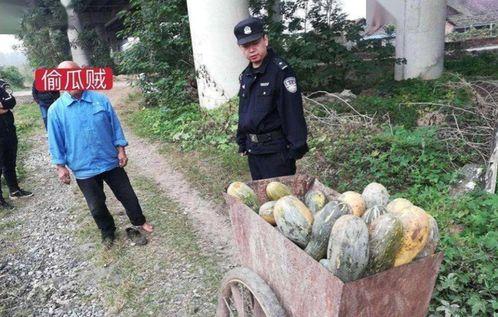 温县网红吃瓜事件视频