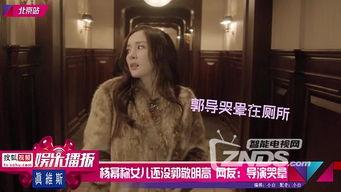 娱乐大爆料每日更新全集,每日更新全集精彩回顾，揭秘娱乐圈幕后故事