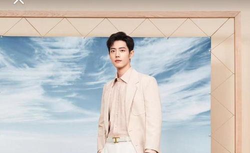 肖战最新八卦爆料人,揭秘明星背后的真实人生与最新八卦