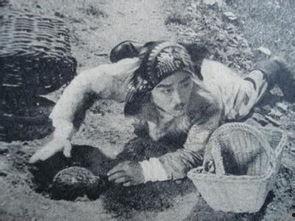 老电影地雷战在线观看 第2张 老电影地雷战在线观看 第2张