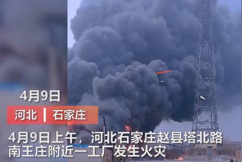 香港媒体爆料巨雕事件视频,神秘巨雕引发热议 第3张 香港媒体爆料巨雕事件视频,神秘巨雕引发热议 第3张