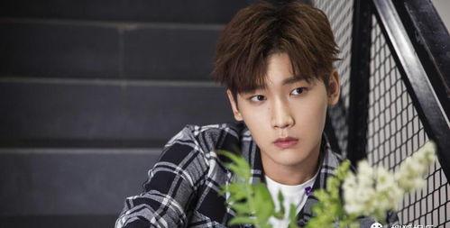 娱乐圈吃瓜爆料张宥浩,揭秘背后真相与争议  第3张