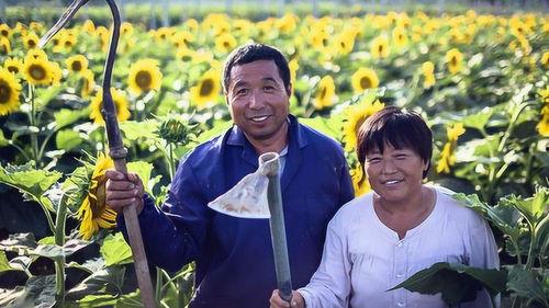 我是农民在线观看,我是农民的在线农业生活纪实