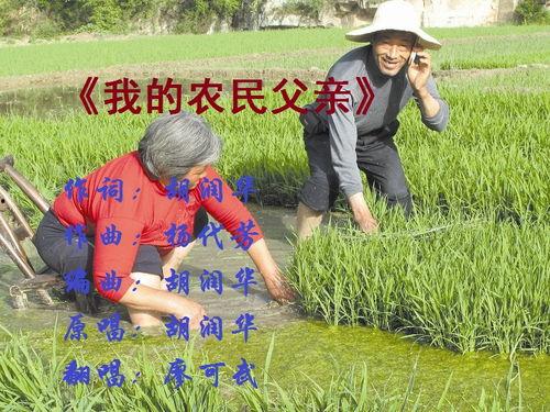 我是农民在线观看,我是农民的在线农业生活纪实  第3张