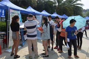 广西玉林最新吃豆腐爆料,广西美食界的创新风暴来袭