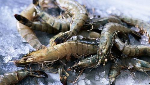 厄瓜多尔虾爆料视频大全,揭秘视频大全背后的真相与争议