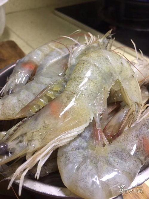 厄瓜多尔虾爆料视频大全,揭秘视频大全背后的真相与争议  第2张