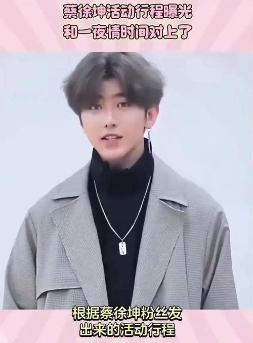 蔡徐坤爆料的狗仔视频,一场关于隐私与尊重的较量  第2张